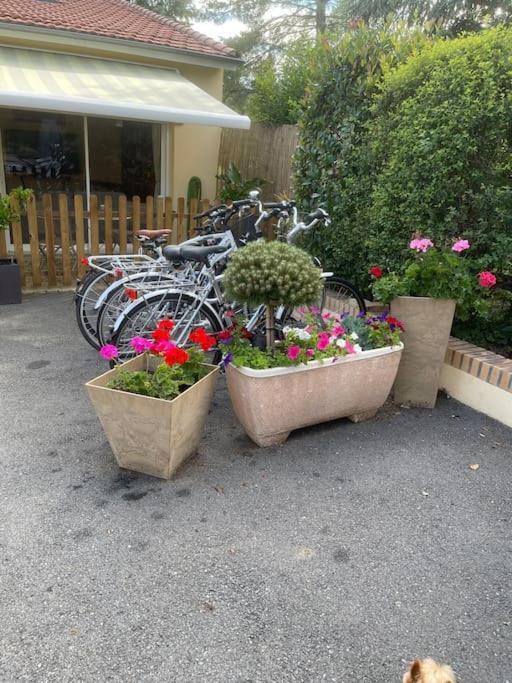 Les Noisetiers Maison Familiale Avec Piscine *