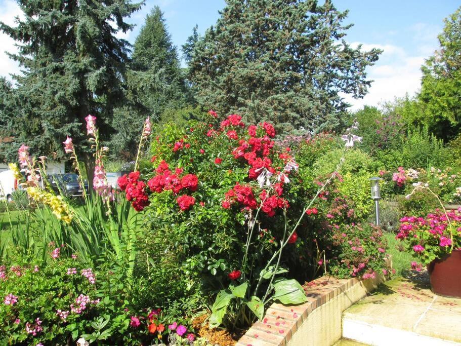 Hébergement de vacances Les Noisetiers Maison Familiale Avec Piscine
